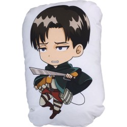 Levi